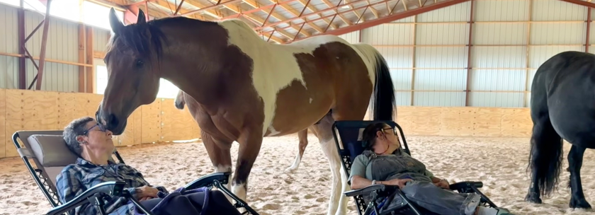 Sound Bath with Horses & Healing with the Horses